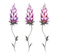 vintage print of pale pink wild bells and iris blossom in mauve tones on a white background © Маргарита Шевчишена