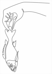 Male hand holds big fresh raw fish.continuous line vector drawing.