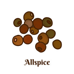 Hand drawn vector illustration of allspice, Jamaica pepper, myrtle pepper, or pimento isolated on white background.