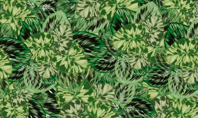 Naklejka na ściany i meble Green tropical leaves abstract spring,summer nature background