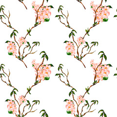 Blossom cherry tree seamless pattern watercolor on white