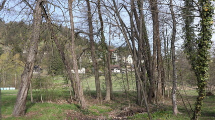 rund um den see bled mit aussicht auf die kirche und burg