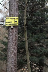 Tablica informacyjna w lesie - ostoja zwierząt wstęp wzbroniony - obrazy, fototapety, plakaty
