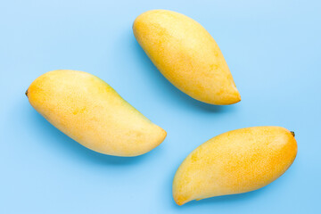 Tropical fruit, Mango on blue background. Top view