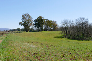 Necropoli Etrusca di Norchia