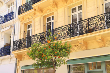 Fototapeta na wymiar An orange tree and beautiful architecture in the old town from Cannes - France