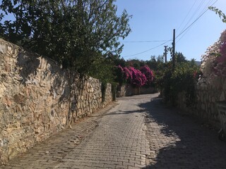 street in the old town and flowers