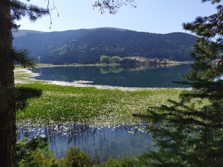 lake and mountains
