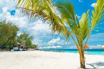 Fotobehang Mooie groene palmbomen op het strand tegen de blauwe zonnige hemel met lichte wolkenachtergrond. Tropische wind blaast de palmbladeren. © garrykillian