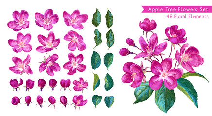 Large set of pink apple blossoms. Set of realistic plants drawn by hand in vector format. Ready-made branch, individual flowers, leaves and buds. Easy to edit and catomize for your design.