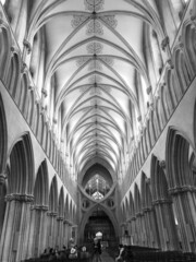 Cathedral Architecture- Bath/Bristol