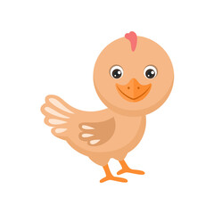 Cartoon funny chicken bird isolated on white. Vector simple flat illustration. Farm poultry.