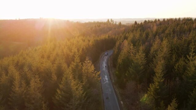 Two cars driving along an empty, picturesque road that is surrounded by vast coniferous forests. Cinematic aerial reveal shot during golden hour