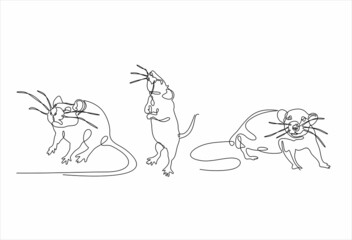 Set of rats in continuous line art drawing style. Mouse minimalistic black line sketch on white background. Vector illustration