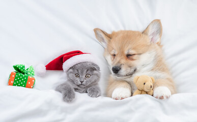 Cozy Pembroke welsh corgi puppy higging toy bear and tiny kitten wearing red santa hat sleep...