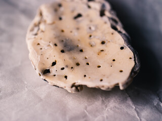 Close up of a seashell