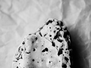 Close up of a seashell