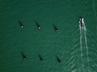 top view of the boat in the sea