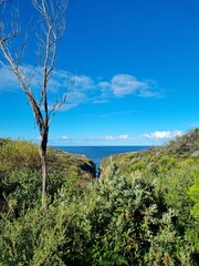 Fototapeta na wymiar The cliffs near Cronulla beach in Sydney, Australia on a sunny day