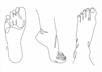 Vector human foot in various poses. Hand drawing with a line. Set of female feet for design.  illustration. Continuous line