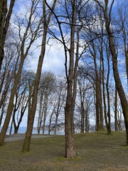 Pictures from historical Nordnes Park in Nordnes District Bergen Norway