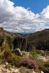 Fototapeta na wymiar vertical landscape in the Peneda-Geres National Park in northern Portugal