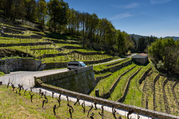 gray camper van parked in the terraced vineyards of Galicia in the Ribeira Sacra Valley