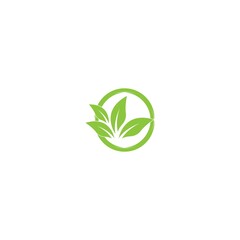 Fototapeta premium Tree leaf vector logo design, eco-friendly