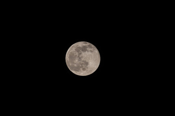 Fototapeta premium Super full moon with dark black background for placement in video, banner, shot in march 2022, Antwerp, Belgium. High quality photo