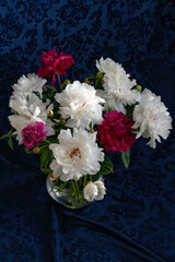 Still life. White and pink peony flowers bouquet on the dark blue background.
