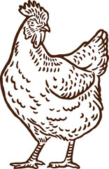 vintage illustration of hen and chicken