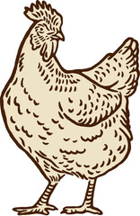 vintage illustration of hen and chicken