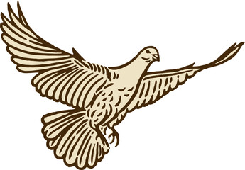 Fototapeta na wymiar vintage illustration of dove of peace