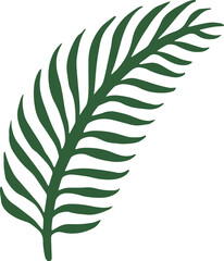 illustration of a palm leaf tree