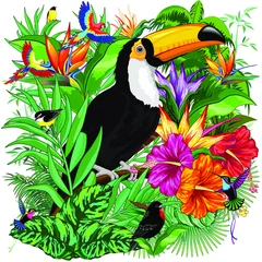 Abwaschbare Fototapete Zeichnung Tukan, Kolibris, Ara-Papageien und andere Wildvögel in der Dschungel-Vektor-Illustration