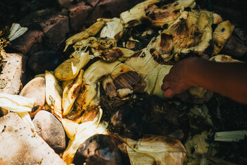 Humitas recién sacadas del horno de pachamanca. Concepto de comida tradicional de Perú.