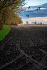 pole, pole uprawne, pola uprawowe, pola pszenicy, wiosenne pole uprawne  © Follow the Sun