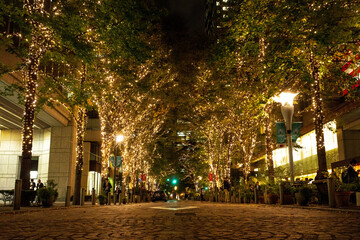 東京のクリスマスイルミネーション、12月の丸の内日比谷のライトアップ