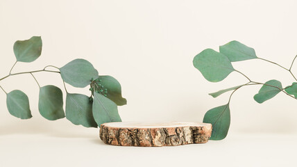 Wooden display with eucalyptus leaves on pastel background, banner size. Scene to show products
