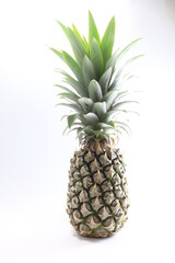 pineapple on white background