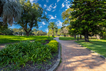Fototapeta premium beautiful park with birds palm trees ponds waterfalls foot bridge lush green grass and trees in Burwood a suburban Sydney town NSW Australia
