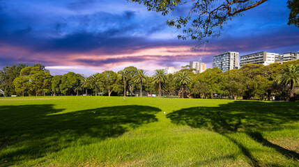 View of Burwood Skyline a Sydney suburb palms trees nice buildings blue skies NSW Australia