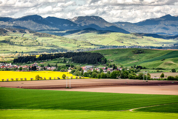 Agricultural fields in the countryside