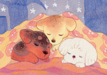 花柄の毛布に包まれて眠る仔犬たち