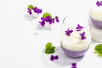 Vegan panna cotta dessert with fresh violet flower. Striped very peri color food, trendy stand
