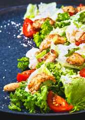 Fresh and tasty salad with grilled chicken and fresh vegetables.