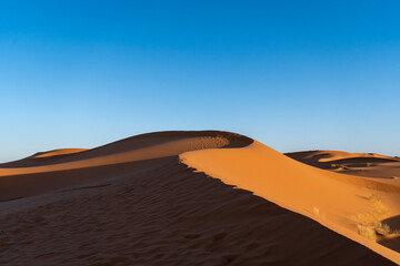 Fototapeta na wymiar sand dunes in the Sahara Desert