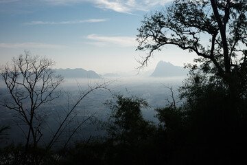 Fototapeta na wymiar Landscape of tropical rainforest covered by fog in the morning.