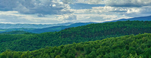 Fototapeta na wymiar Beautiful summer landscape. Panorama of the green hills of the Carpathians