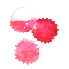 Lychee watercolor illustration for decoration on food and agriculture concept.